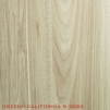 ORZECH CALIFORNIA R3083 LMDP